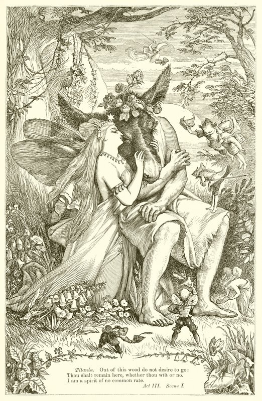 En midsommernatsdrøm af Henry Courtney Selous