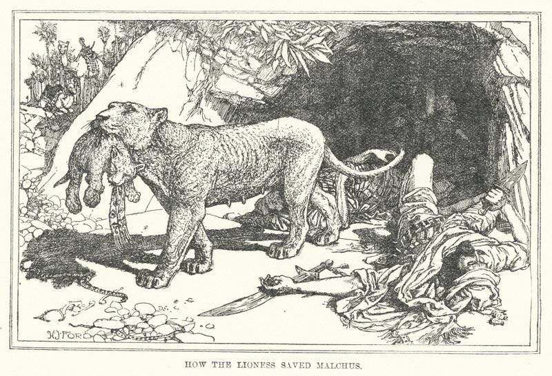 Hvordan løvinden reddede Malchus (litho) af Henry Justice Ford