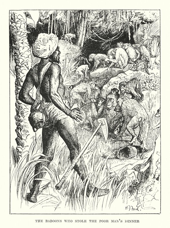 Bavianerne, der stjal den fattige mands middag (gravering) af Henry Justice Ford