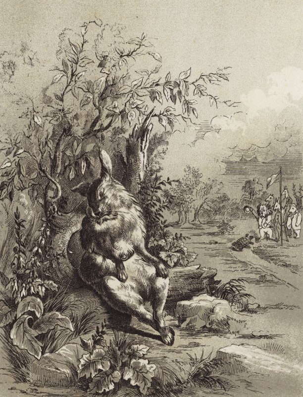 Æsops fabler: Haren og skildpadden (litho) af Henry Louis Stephens