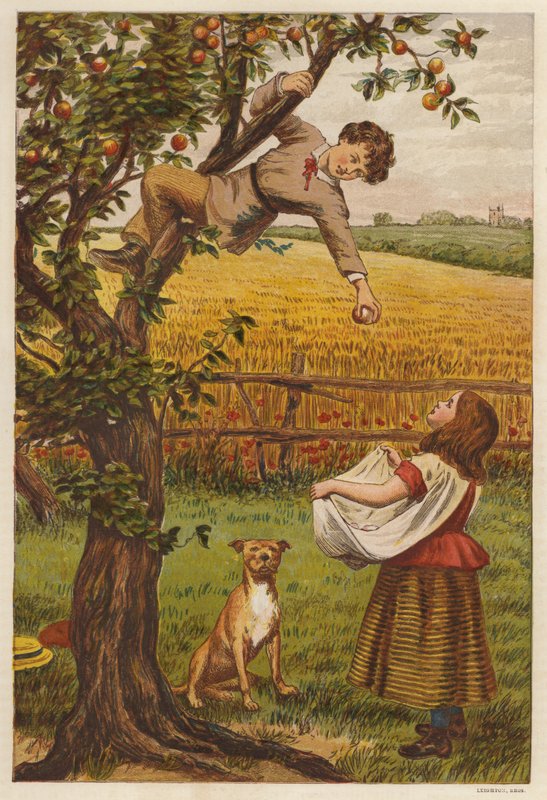 Plukke æbler (farve litho) af Henry Robert Robertson