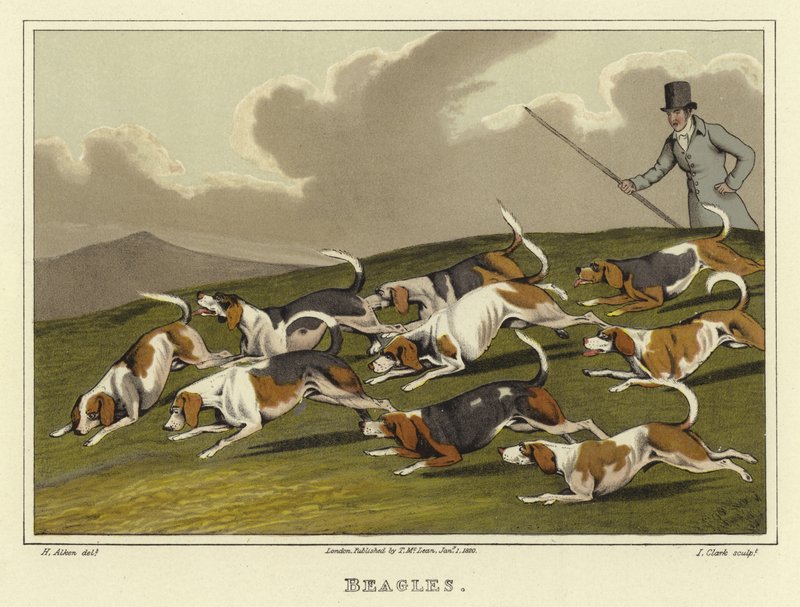 Beagler (chromolitho) af Henry Thomas Alken