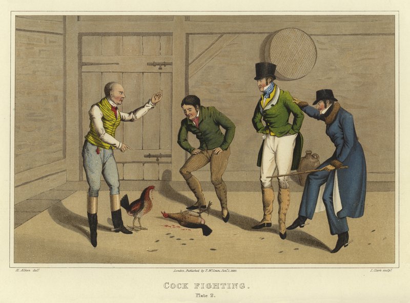 Hanekamp (chromolitho) af Henry Thomas Alken