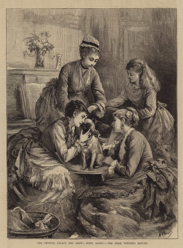 Crystal Palace Hundeudstilling, Hjem igen!, Prisvinderen er tilbage af Henry Woods