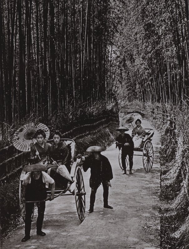 A Bamboo Avenue i Kyoto (s/h foto) af Herbert Ponting
