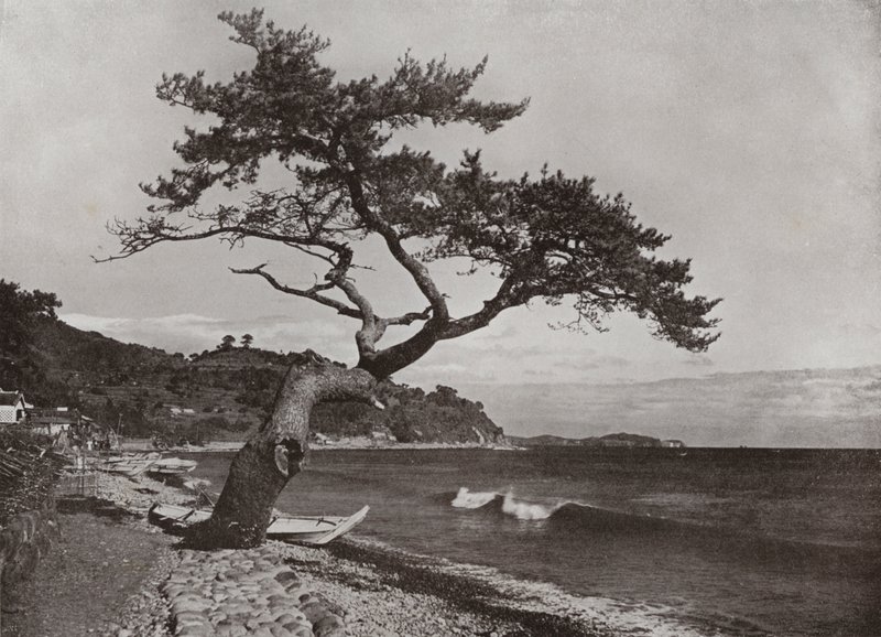 Atami (s/h foto) af Herbert Ponting