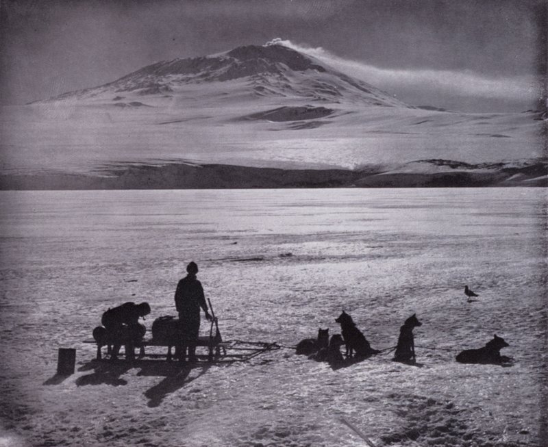 Slæde og hunde, med Mount Erebus i baggrunden (s/h foto) af Herbert Ponting