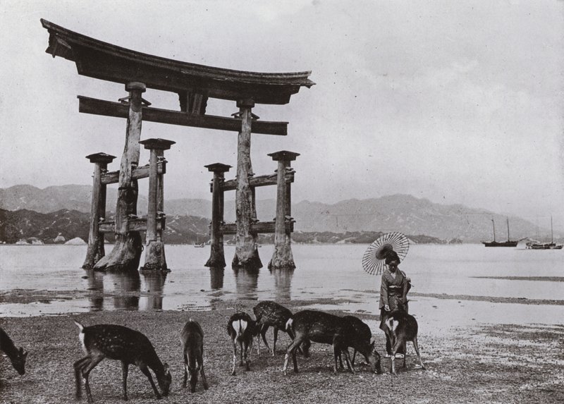 The Old Torii at Miyajima (s/h foto) af Herbert Ponting