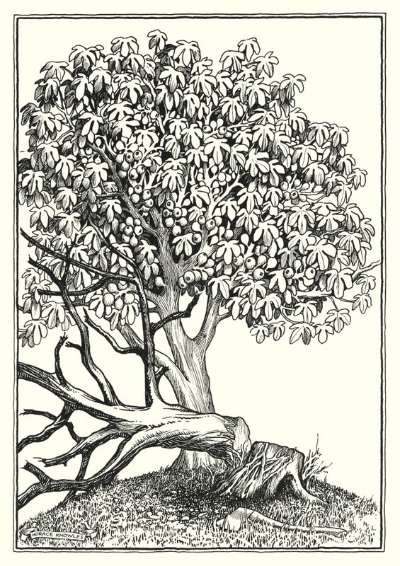 Illustration til Bjergprædikenen (kobberstik) af Horace J. Knowles