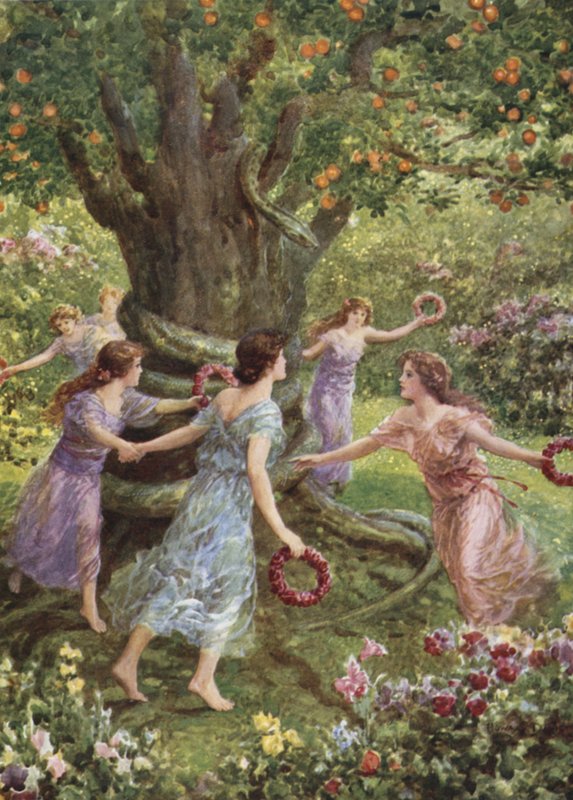 Perseus så dem danse rundt om det charmerende træ. Fra How Perseus dræbte Gorgonen (farve litho) af Howard Davie