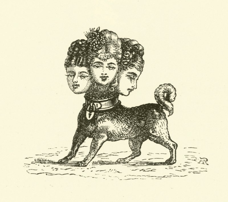 Hun Cerberus (gravering) af Hugh Rowley