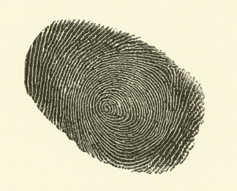 Fingeraftryk (gravering) af Hugh Rowley