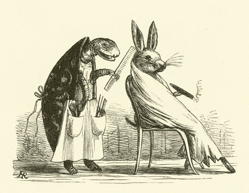 Skildpadde og hare (gravering) af Hugh Rowley