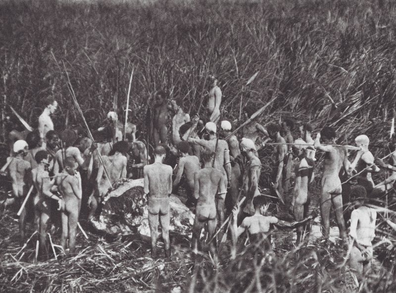 Afrika: Nuer-jægere med elefantkrop (s/h-foto) af Hugo Adolf Bernatzik