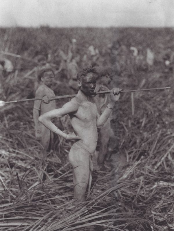 Afrika: Nuer-krigere i sump (s/h-foto) af Hugo Adolf Bernatzik