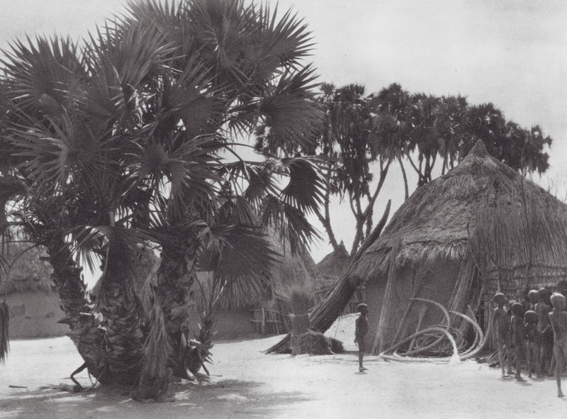 Afrika: Shilluk-landsby ved Den Hvide Nil (s/h-foto) af Hugo Adolf Bernatzik