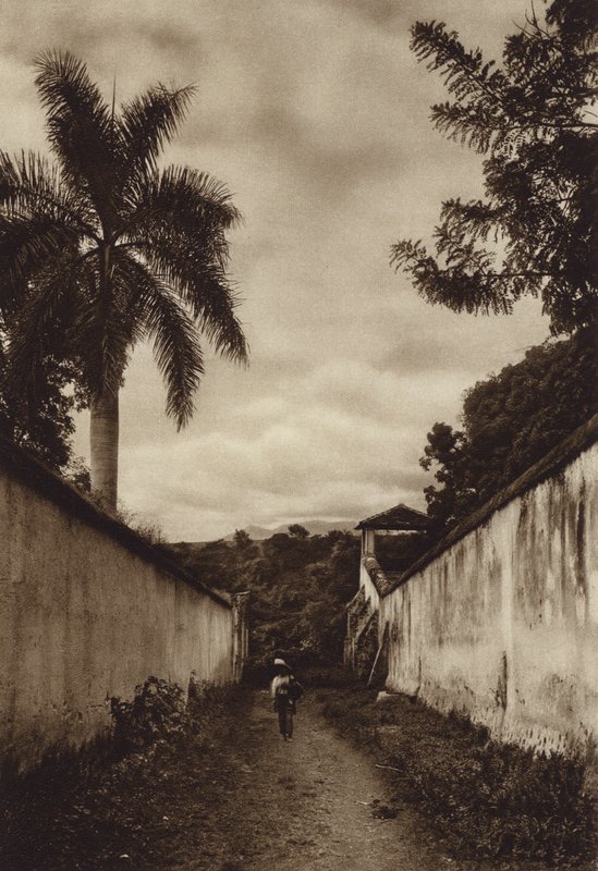 Mexico: Cuernavaca, gade, der fører til landsbyen San Antonio (s/h-foto) af Hugo Brehme