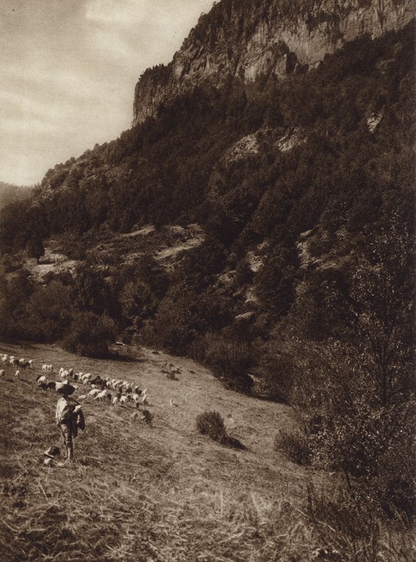 Mexico: La Canada, Contreras, D F (s/h-foto) af Hugo Brehme