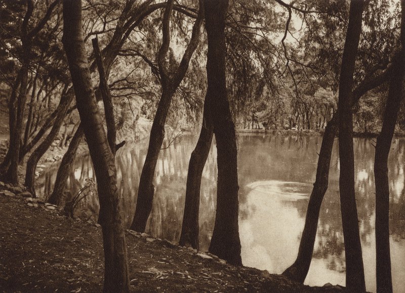 Mexico: Las fuentes de Tlalpam D F (s/h-foto) af Hugo Brehme