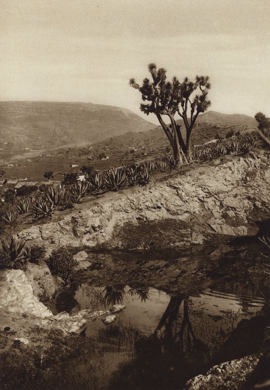 Mexico: Omgivelserne i Toluca (s/h-foto) af Hugo Brehme