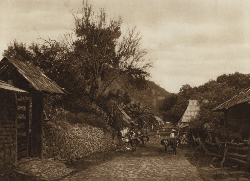 Mexico: Omgivelserne ved Uruapam (s/h-foto) af Hugo Brehme