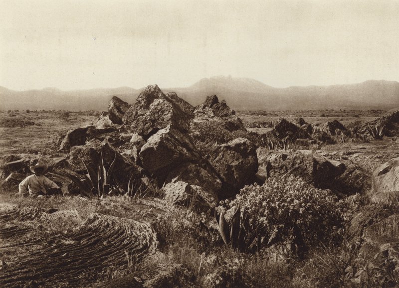 Mexico: Pedregal, Corriente de basalto-lava nær San Angel (s/h-foto) af Hugo Brehme