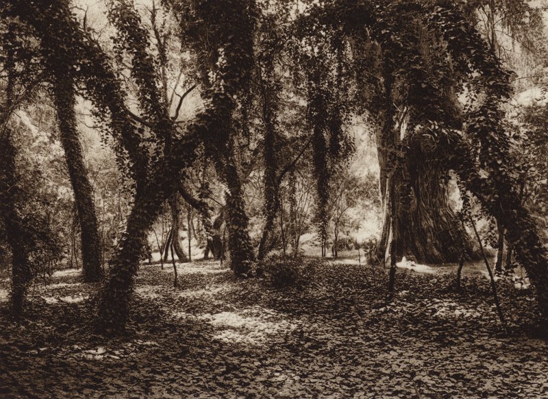 Mexico: Idyllisk sted i Chapultepec-parken (s/h-foto) af Hugo Brehme