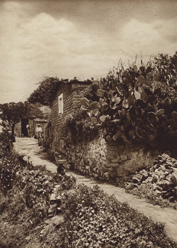 Mexico: Malerisk hjørne i San Angel D F (s/h-foto) af Hugo Brehme