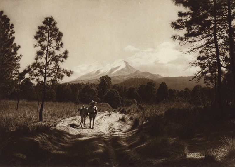 Mexico: Stien til Pico de Orizaba (s/h-foto) af Hugo Brehme