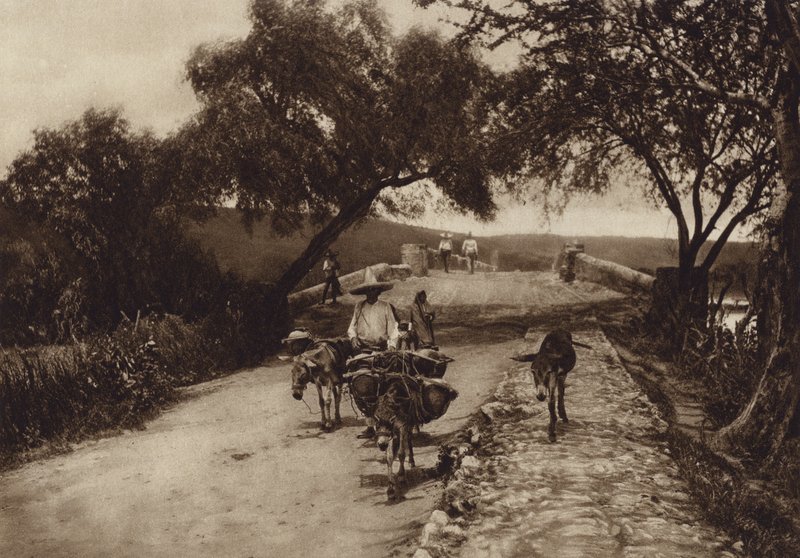 Mexico: En vej i Mexicos bjerge (s/h-foto) af Hugo Brehme
