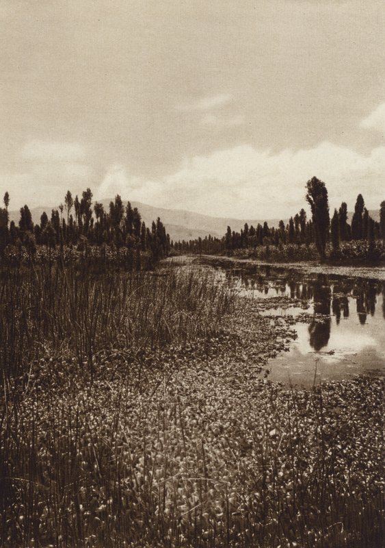 Mexico: Xochimilco, en af hovedkanalerne (s/h-foto) af Hugo Brehme