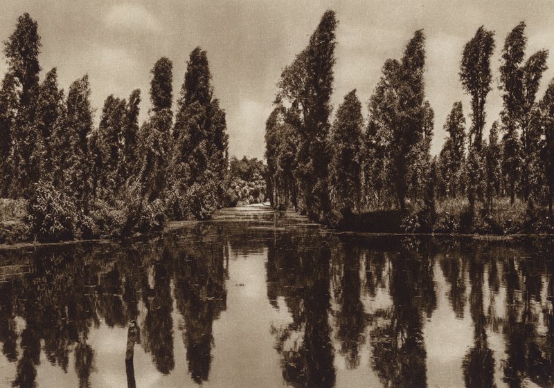 Mexico: Xochimilco med de såkaldte "flydende haver" (s/h-foto) af Hugo Brehme