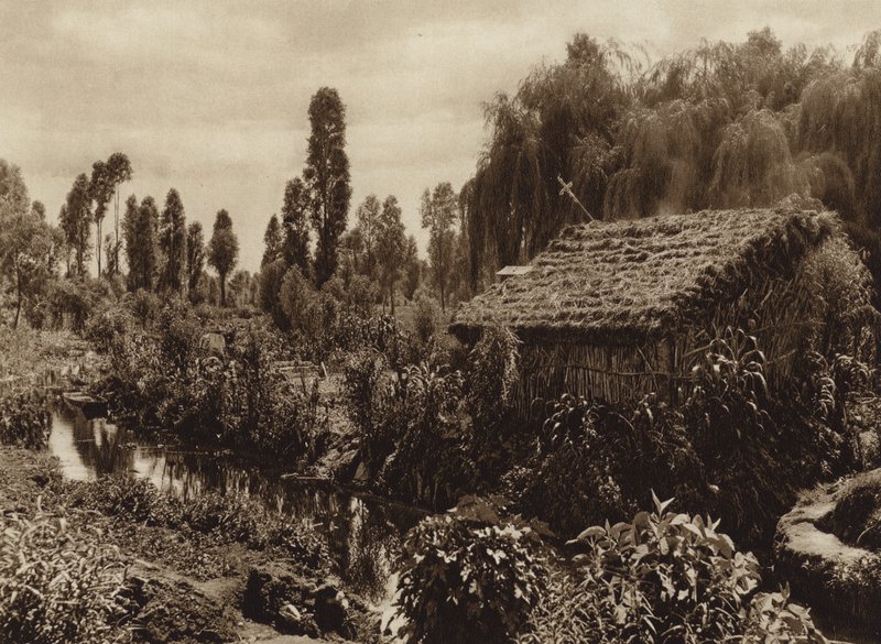 Mexico: Xochimilco med de såkaldte "flydende haver" (s/h-foto) af Hugo Brehme