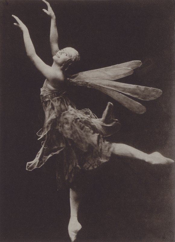 Pavlova i Dragon Fly af Ira L. Hill
