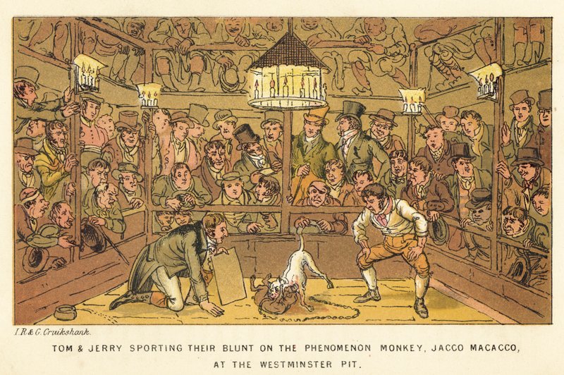 Tom og Jerry slyngler sig med fænomenaben, Jacco Macacco, ved Westminster Pit af Isaac, Robert and George Cruikshank