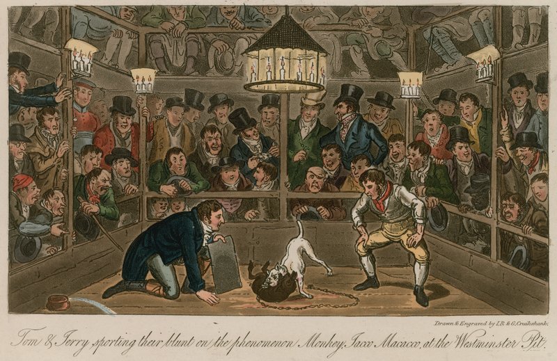 Tom og Jerry udfolder sig på fænomenet Monkey, Jacco Macacco ved Westminster Pit af Isaac, Robert and George Cruikshank