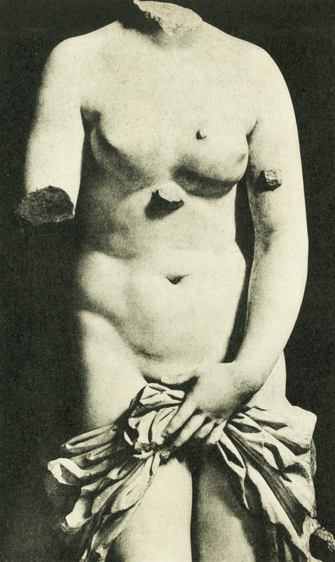 Museum, Den syrakusanske Venus, 3. århundrede f.Kr. Credesis (s/h-foto) af Italian Photographer