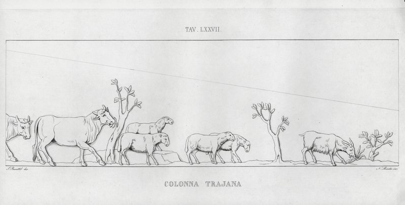 Trajans søjle, Trajans søjle (gravering) af Italian School