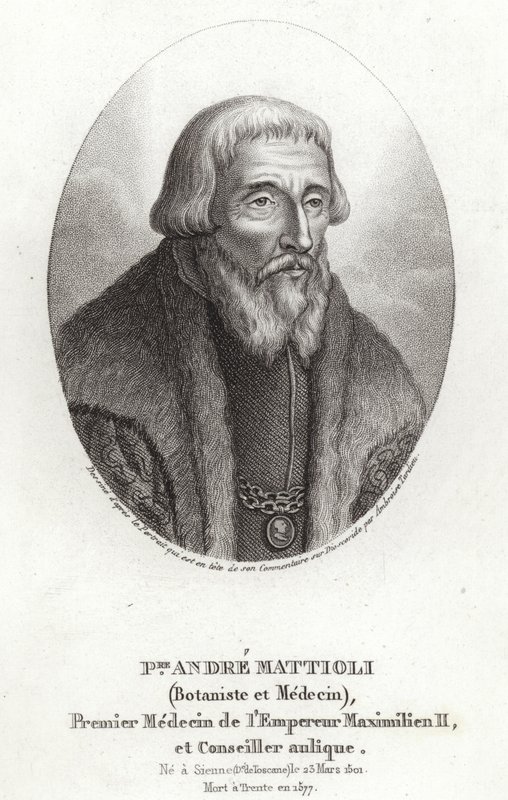 Pietro Andrea Mattioli af Italian School