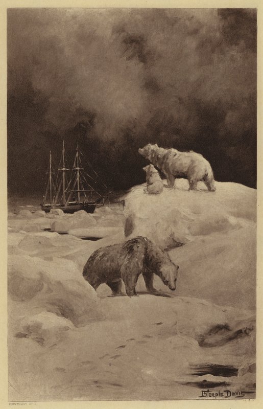 Peary i de arktiske områder (litho) af J. (after) Steeple Davis