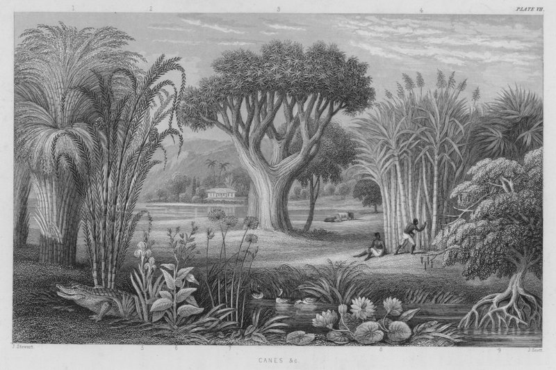 Stokke osv. (farvet gravering) af J. (after) Stewart