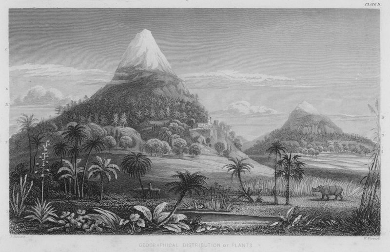 Geografisk fordeling af planter (farvegravering) af J. (after) Stewart