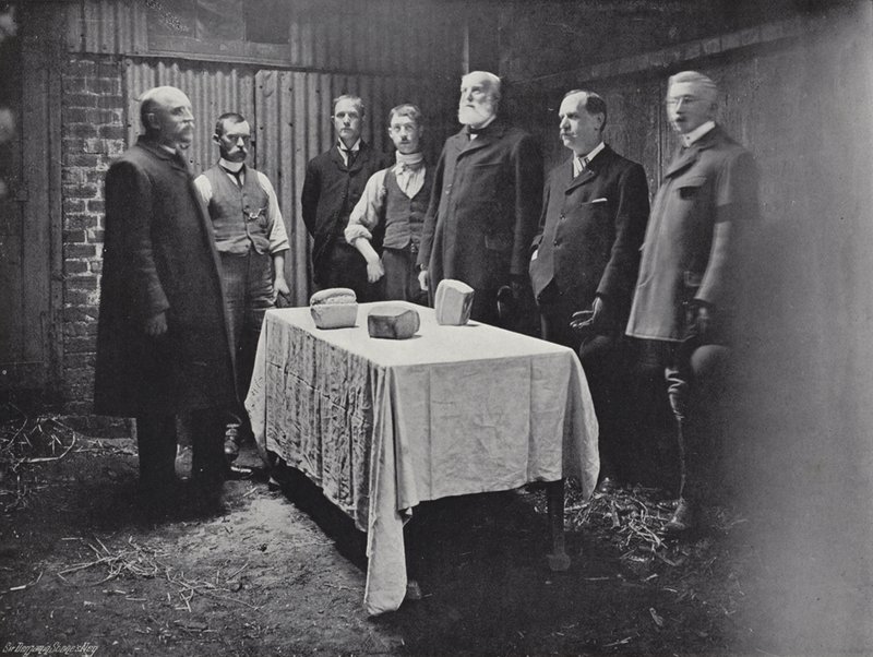 Uddeling af Carlows Charity af J. Benjamin Stone
