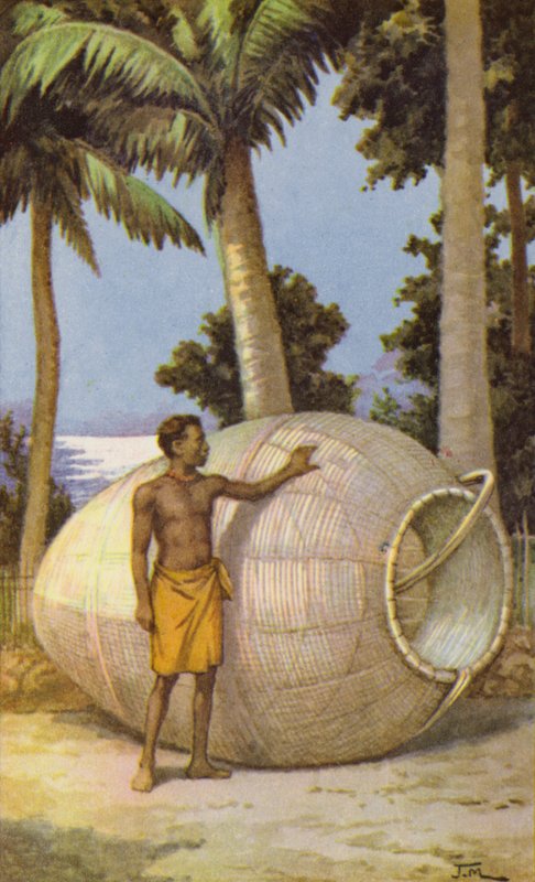 New Guinea mand med fiskefælde (farve litho) af J. Macfarlane