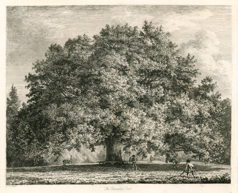 The Chandos Oak, Michendon House, Southgate, London af Jacob George Strutt
