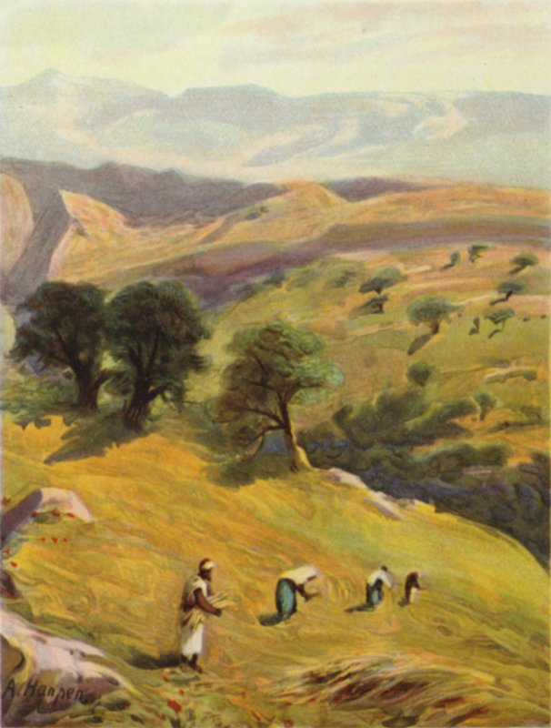Mellem Jerusalem og Jeriko (farve litho) af James (after) Clark