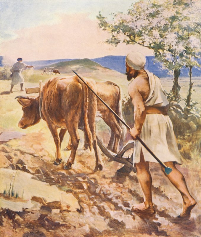 Det hellige land: Pløjning nær Nazareth (farvelitografi) af James (after) Clark