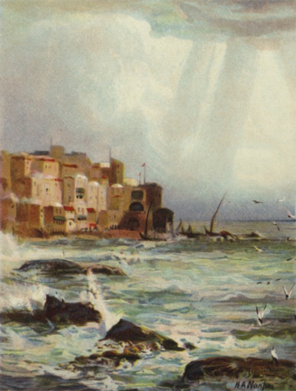 Joppa (farve litografi) af James (after) Clark