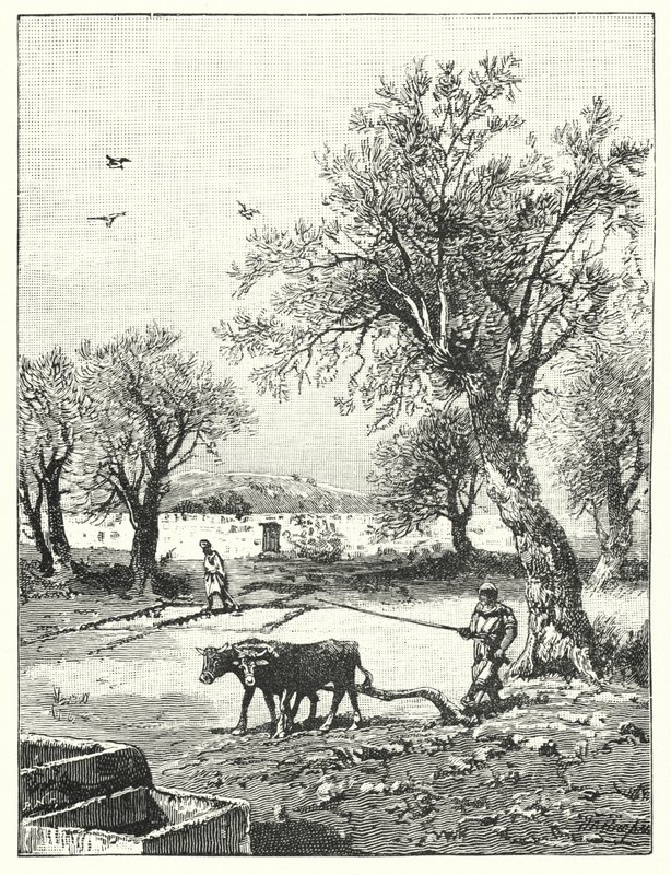 Pløjning i en vingård (litho) af James (after) Clark