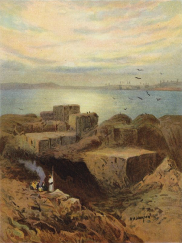 Ruiner af Babylon og hængende haver (farve litho) af James (after) Clark